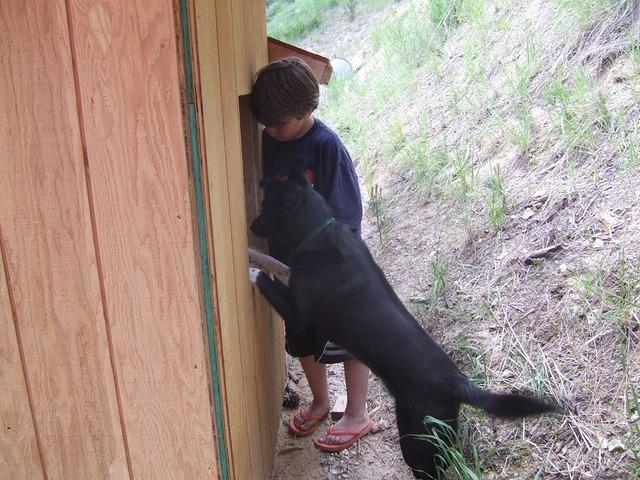 Buster really is excited aabout what he sees in the coop.