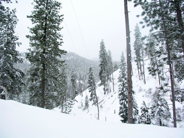 Looking toward the SSW from the corner of the garage