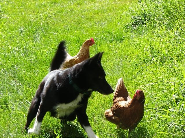 Sometimes a little discipline is needed.