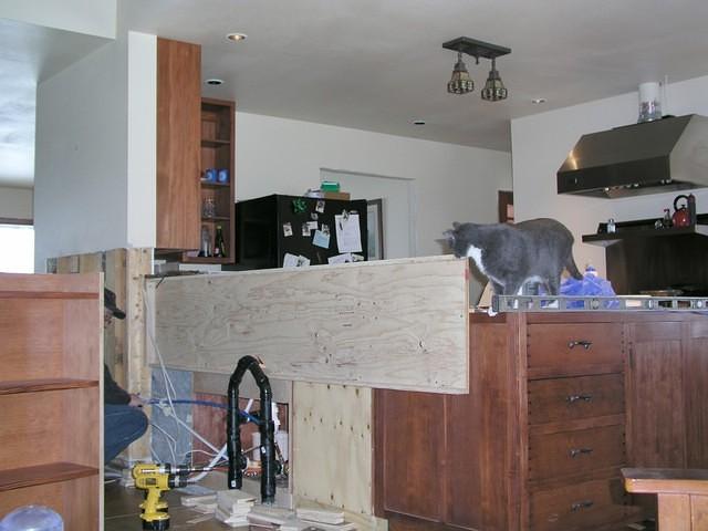 jack helpingcurtis builld framework for shelves