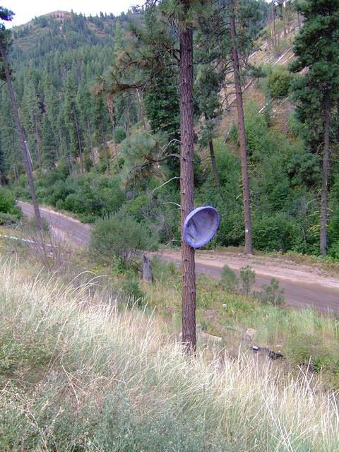 A micro burst impaled Buster's pool on a tree 20 feet up. It later blew it down.

