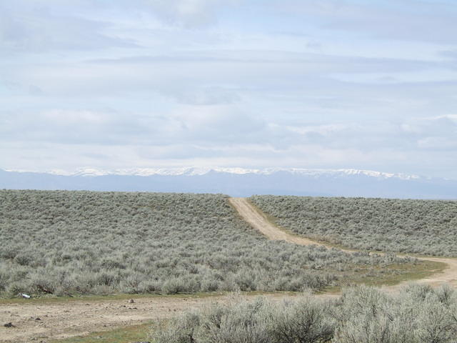 Driving around Blacks Creek area. The owyee mountains are in the background.