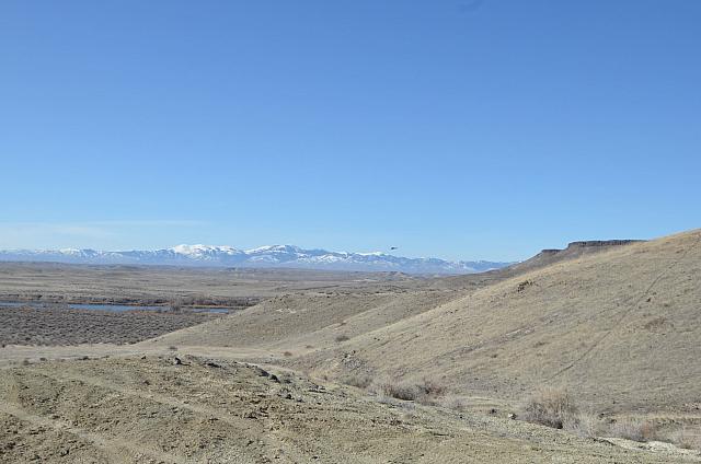 DSC_0539