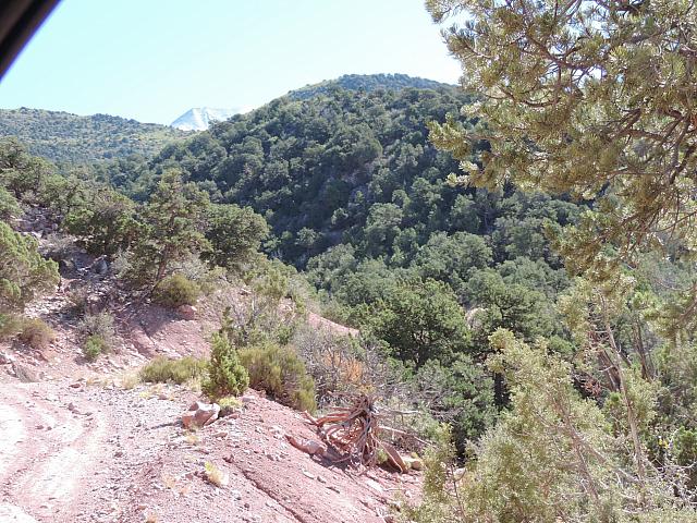 DSCN0478