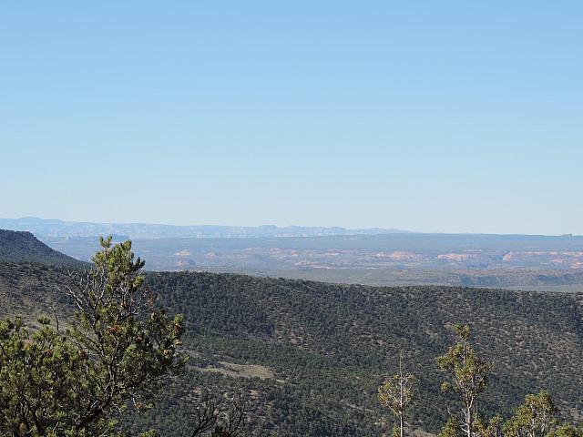 DSCN0479