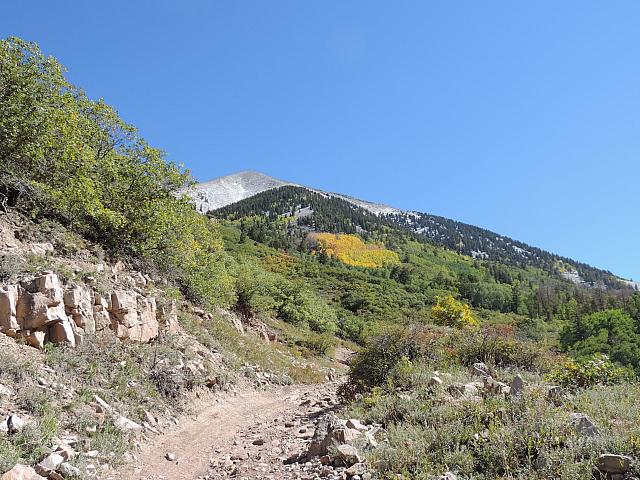 DSCN0503