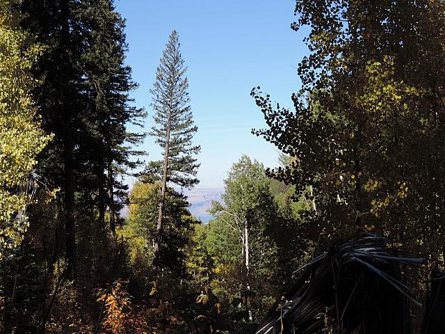 DSCN0528