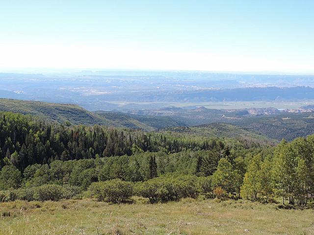 DSCN0569