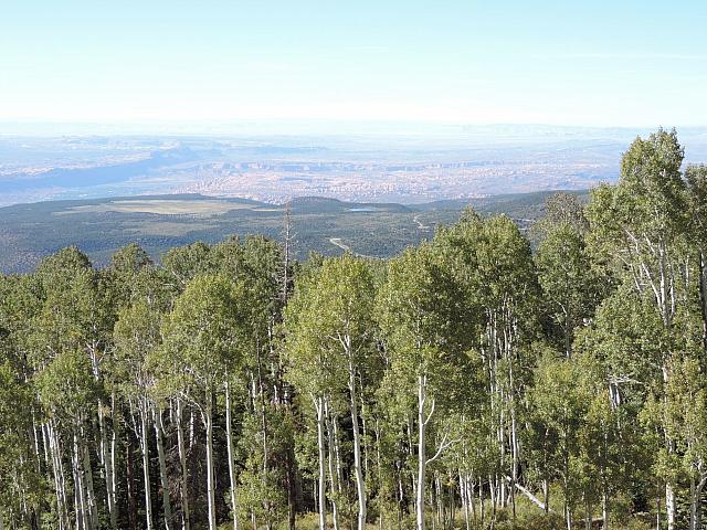 DSCN0578