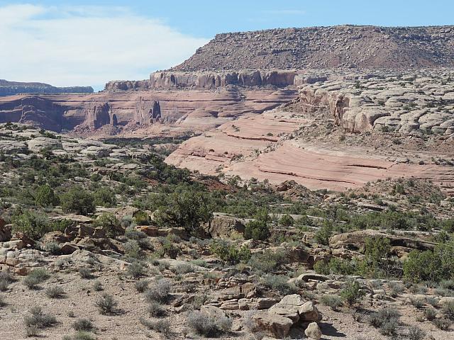 DSCN0590