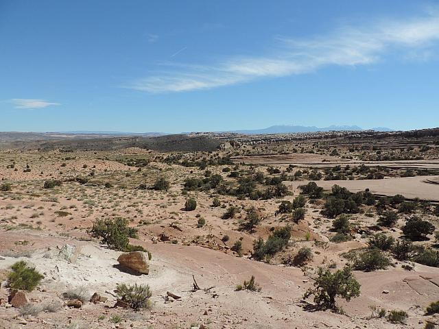DSCN0598