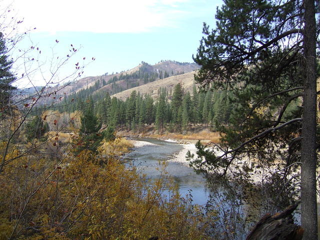 I walked about a mile to where we camped once before. Looking down stream.