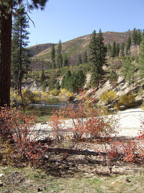 Another view from this campsite; it sure is beautiful.