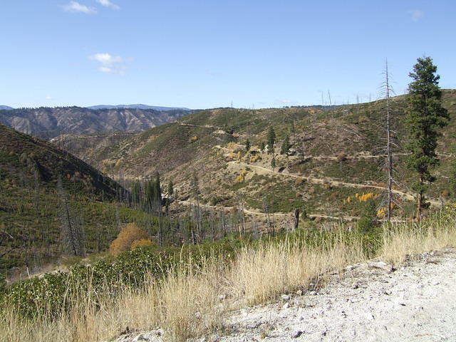 Looking ahead at the road we will drive on. This area suffered from a forest fire.