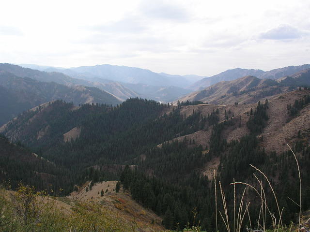 Curtis and Paul went through some beautiful country to where they hunted.