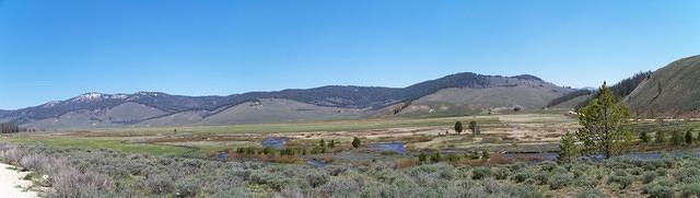 The other side of the road from the last picture; marshes by Stanley.