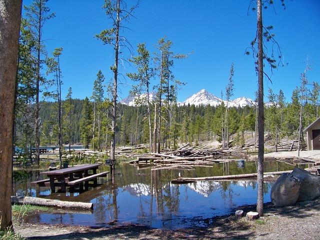 The water is highenough to make picnicing rather uncommfortable.