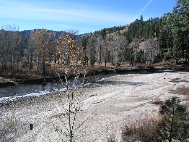 Ice forms on the shore of the Boise River.