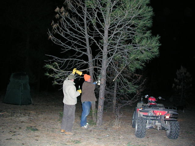 Having light in the evenings is a good thing.