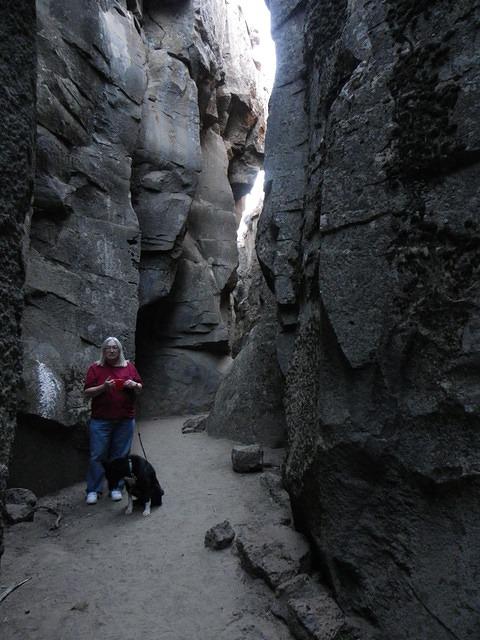 Buster did not like it at all.