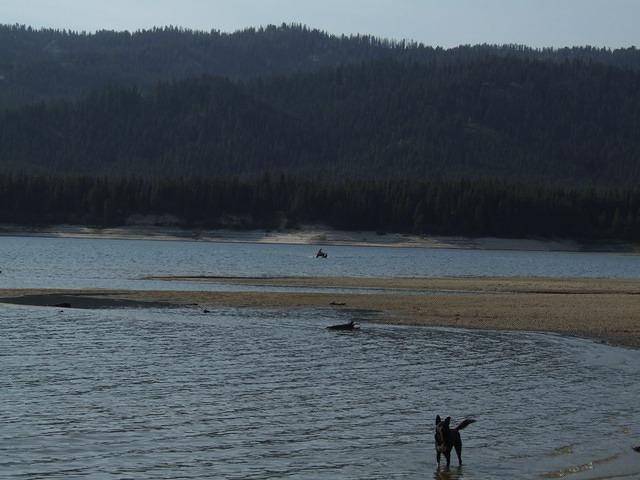 Paul is slowly getting to us. Buster is not looking forward to riding in that boat!