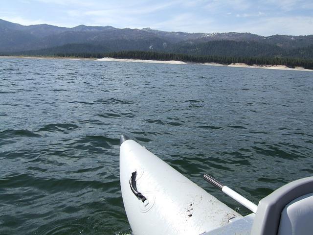 Saturday was the boat ride; Buster was scared, and Jane was hesitant, she wore a life vest.
