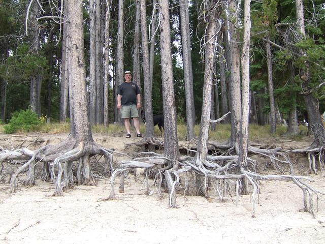 Curtis and Buster by some pine trees that are underwater most of the year.