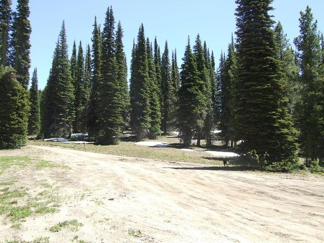 We had to drive through a bit of snow to get to the campsite.