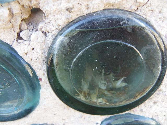 Some Crickets Entombed in a Bottle