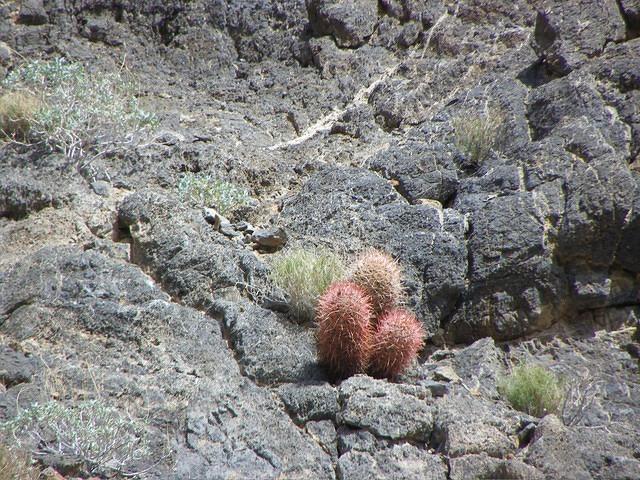 Our last canyon was Echo Canyon.
