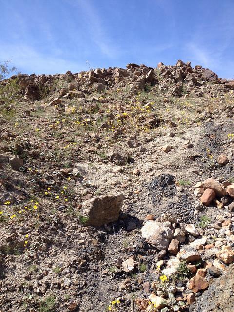 Rocks, big and small, and flowers!