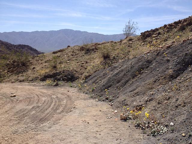 Our lunch place on Lippencott.