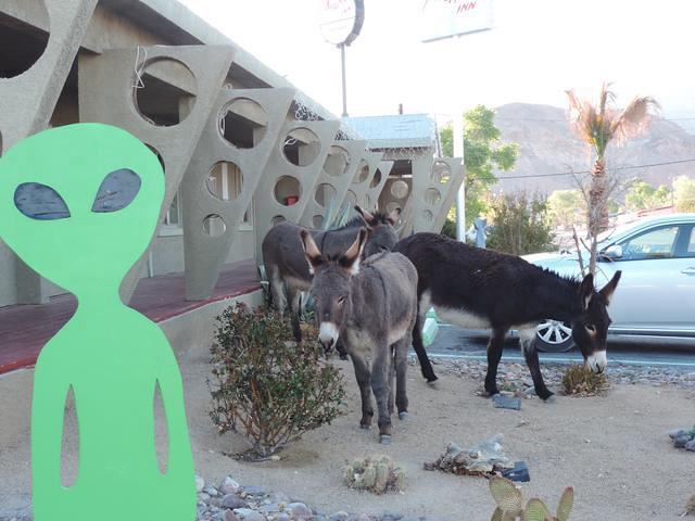 A family visiting the Atomic Inn.