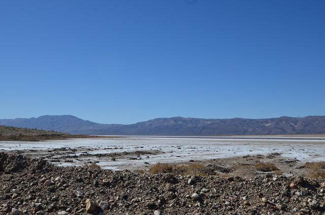 The road to 'chicken rock' went past some water. a rarity in Death Valley.