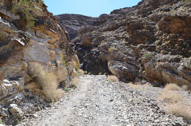 Our road to chicken rock.