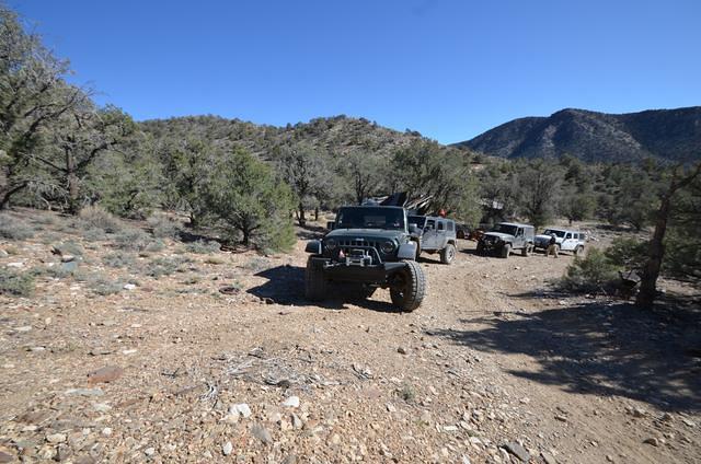 Heading up to Roger Pass.