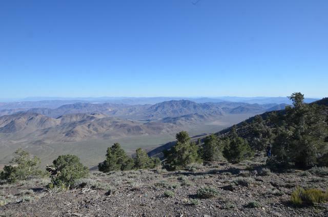 View form Roger Pass.