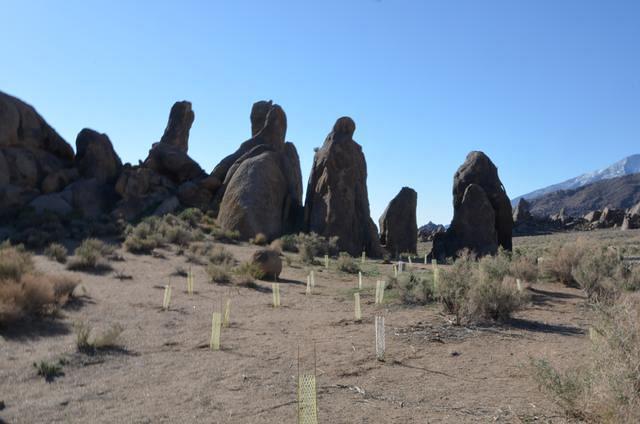 Another filming spot.