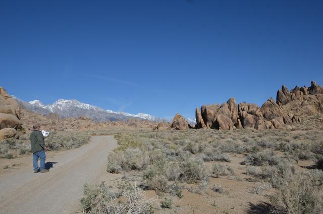 Curtis is using a booklet to find the actual backdrops from famous movies.