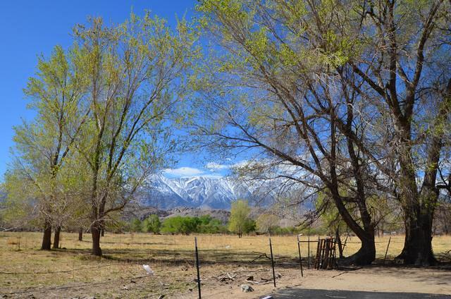 On to Mansanar, the Japanese camp during WW II