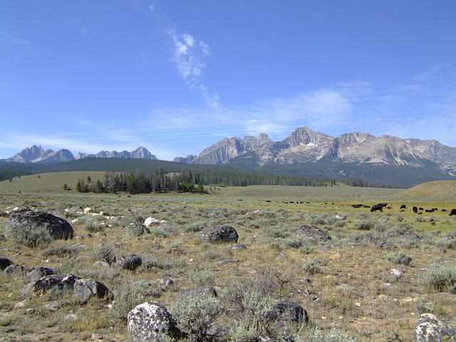 I wonder if the cattle enjoy the view.