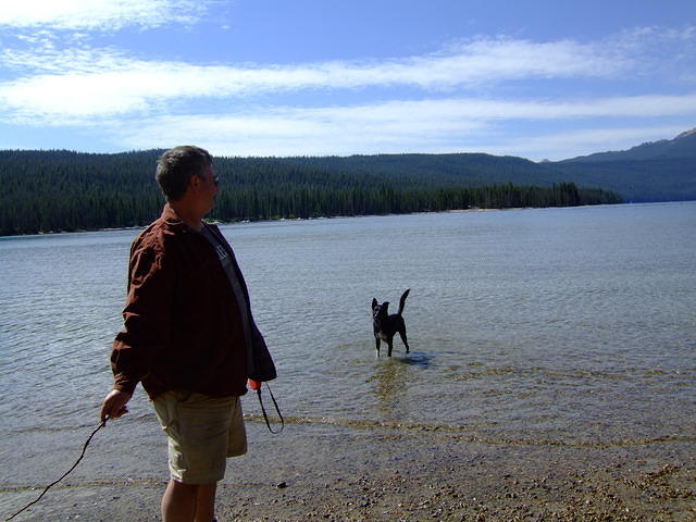 Curtis is throwing a stick for Buster. He is waiting with the greatest anticipation.