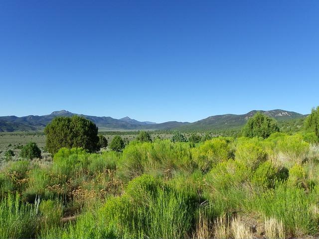 On our way through the desert.