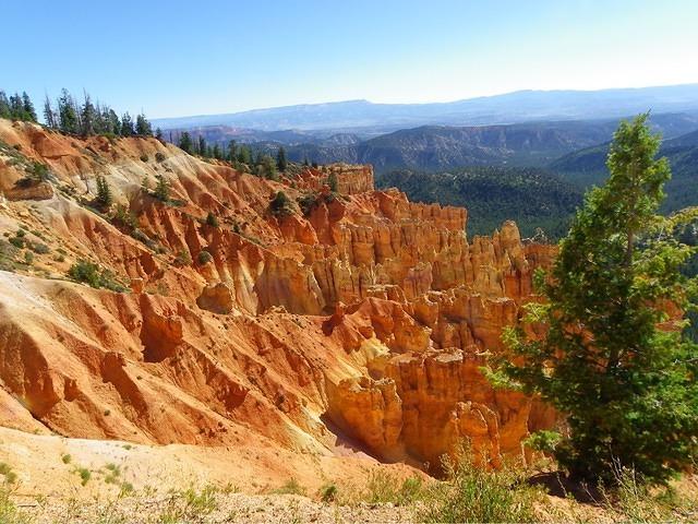 The entrance fee was waived! One of the many pull outs to view the canyon.
