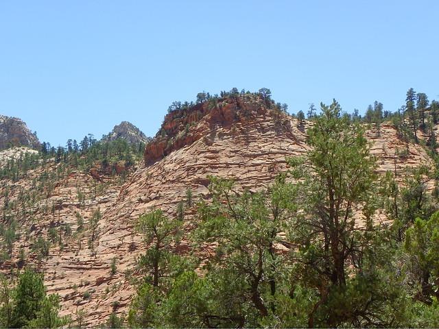 The road was being worked on so only got pictures when we were stopped.