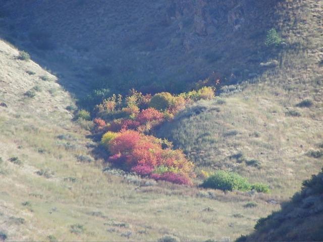 Some of the colors we had to deal with.