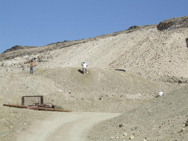 This is one of many tailing piles from the mine. One paid $40 for the pleasure of digging here. Curtis got a few pieces of petri