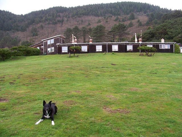 The lawn behind our hotel. The ocean is right behind me down a 40 feet cliff.