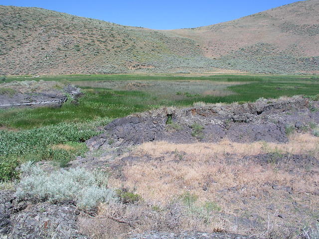 P1010137.JPG