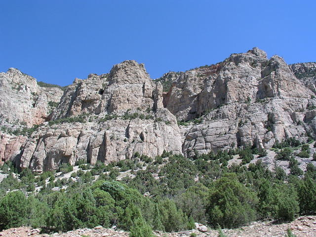 P1010150.JPG